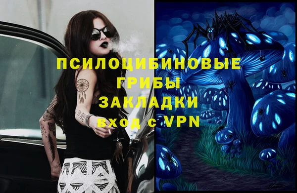 тгк Аркадак