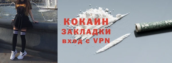 сатива Арсеньев
